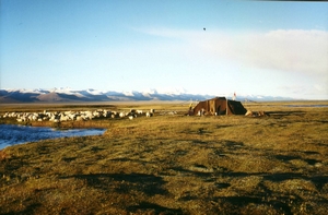 nomad camp